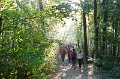 04 der Wald hat uns sofort gefangen